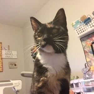 Meet your Posher, Linda